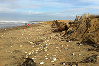 Plage Ile d'Oleron