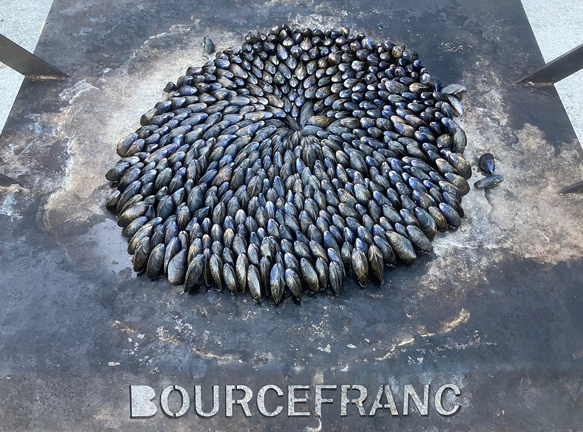 Eclade de moules R&eacute;sidence Les Tr&eacute;mi&egrave;res