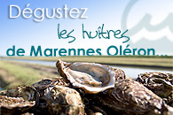 D&eacute;gustez les hu&icirc;tres de Marennes Ol&eacute;ron