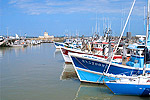 Le port de p&ecirc;che de Bourcefranc-Le Chapus